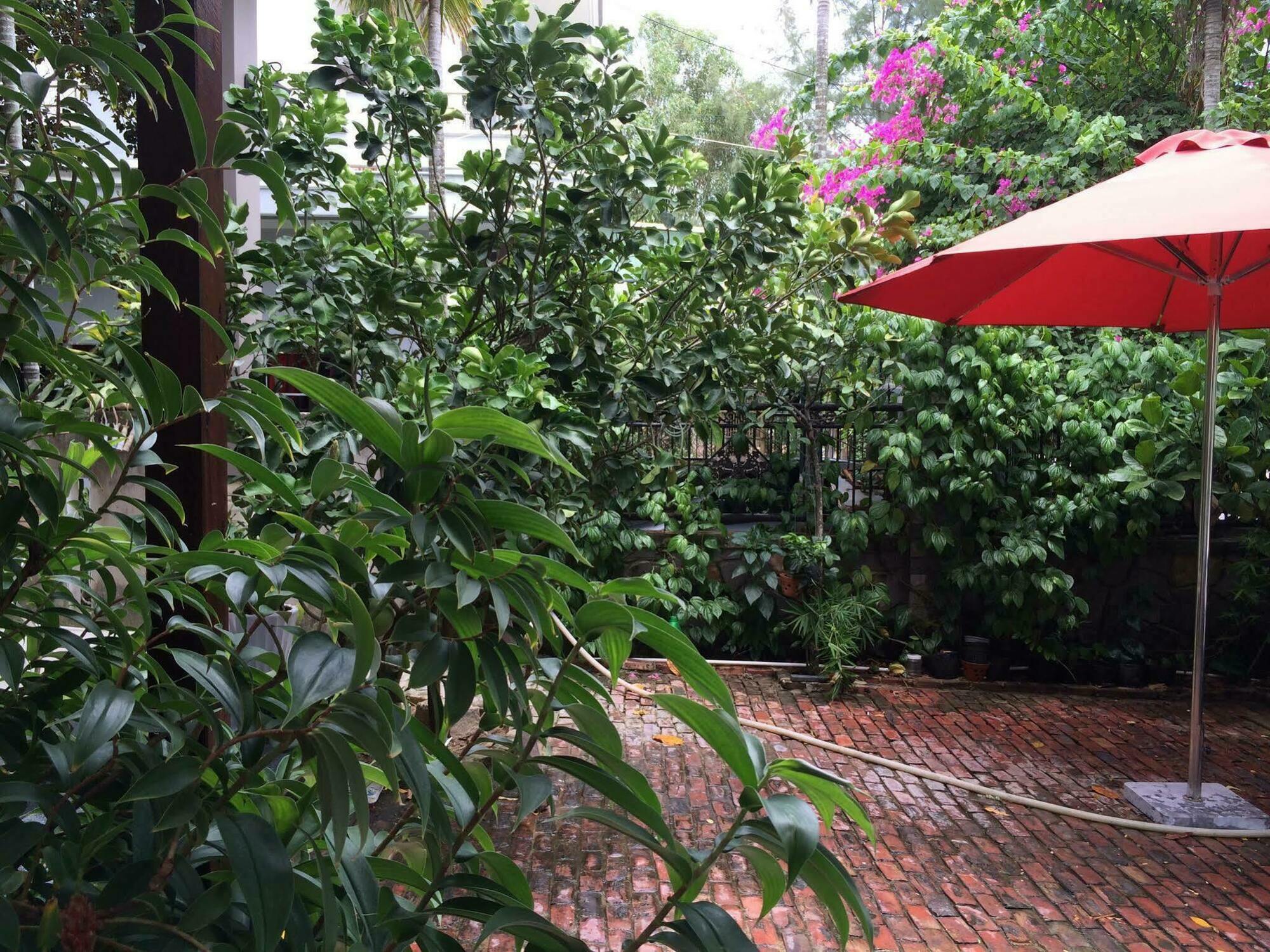Mama'S House Hoi An Homestay Buitenkant foto